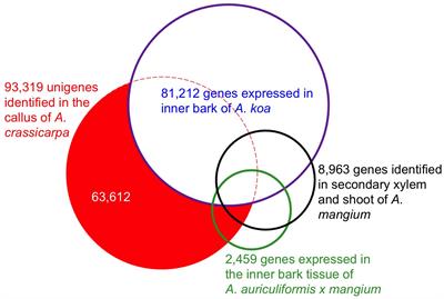 Illumina-based transcriptomic analysis of the fast-growing leguminous tree Acacia crassicarpa: functional gene annotation and identification of novel SSR-markers